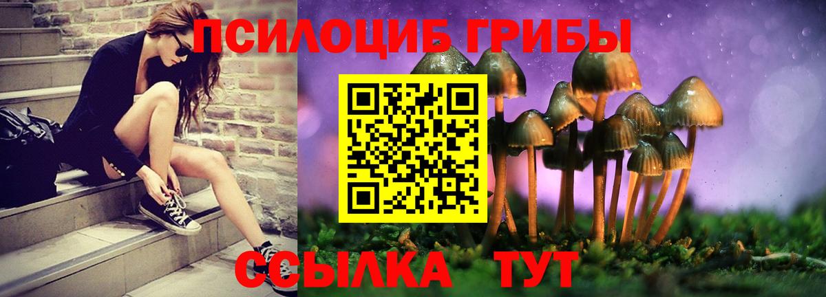 Псилоцибиновые грибы Cubensis  Галлюциногенные грибы ЛСД  Вход с VPN  Зерноград 